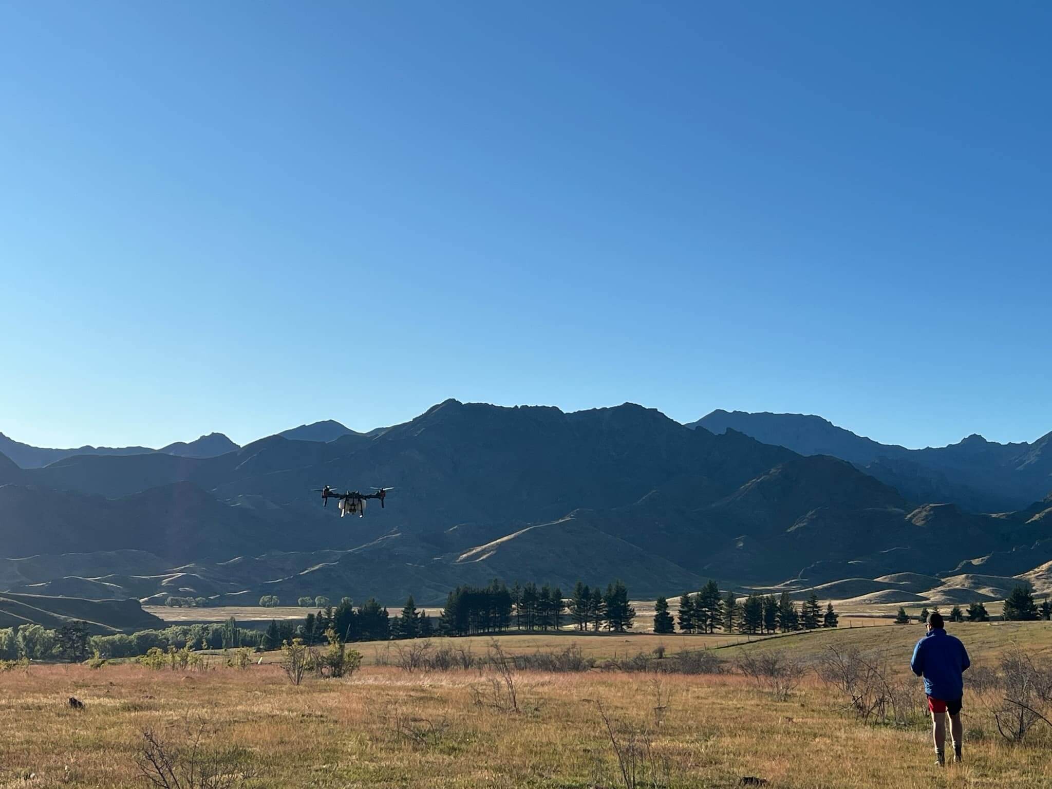 A person operates a drone in an open field with mountains in the background under a clear blue sky.